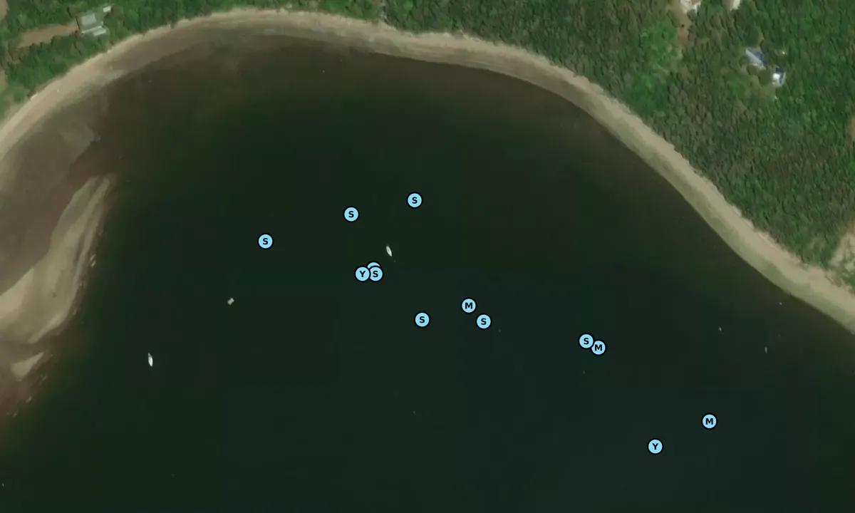 Satelite image of Tadoussac