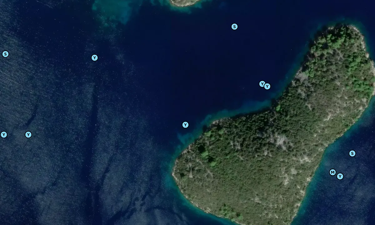 Satelite image of Tajnik - Polače