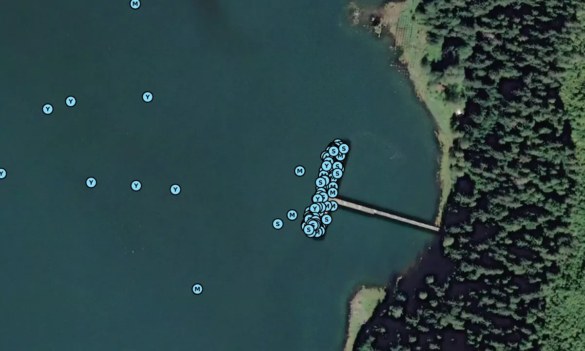 Satelite image of Taku Harbor - Juneau