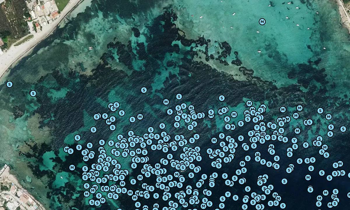 Satelite image of Talamanca, Ibiza
