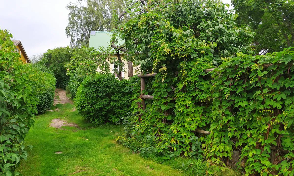 {"base": "en", "no": "Typisk smug ved Tammio", "se": "Typisk gr\u00e4nd i Tammio", "en": "Typical alley at Tammio", "da": "Typisk gyde ved Tammio"}