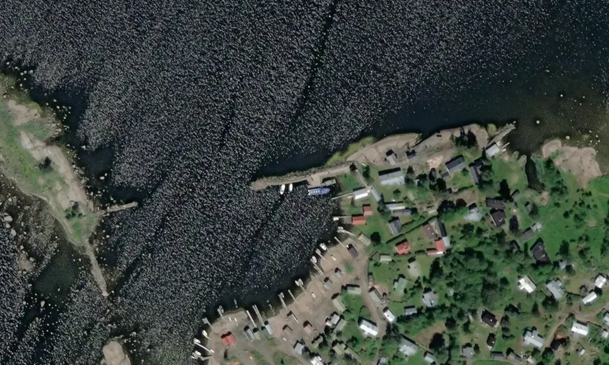 Satelite image of Tammio