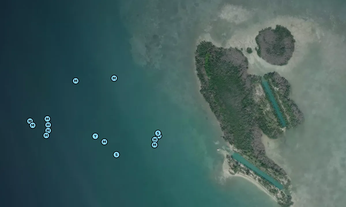 Satelite image of Tarpon Belly Key