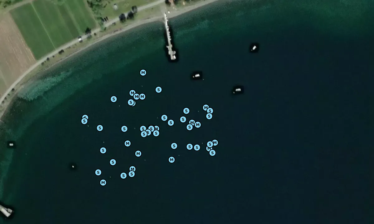 Satelite image of Tautra Kloster