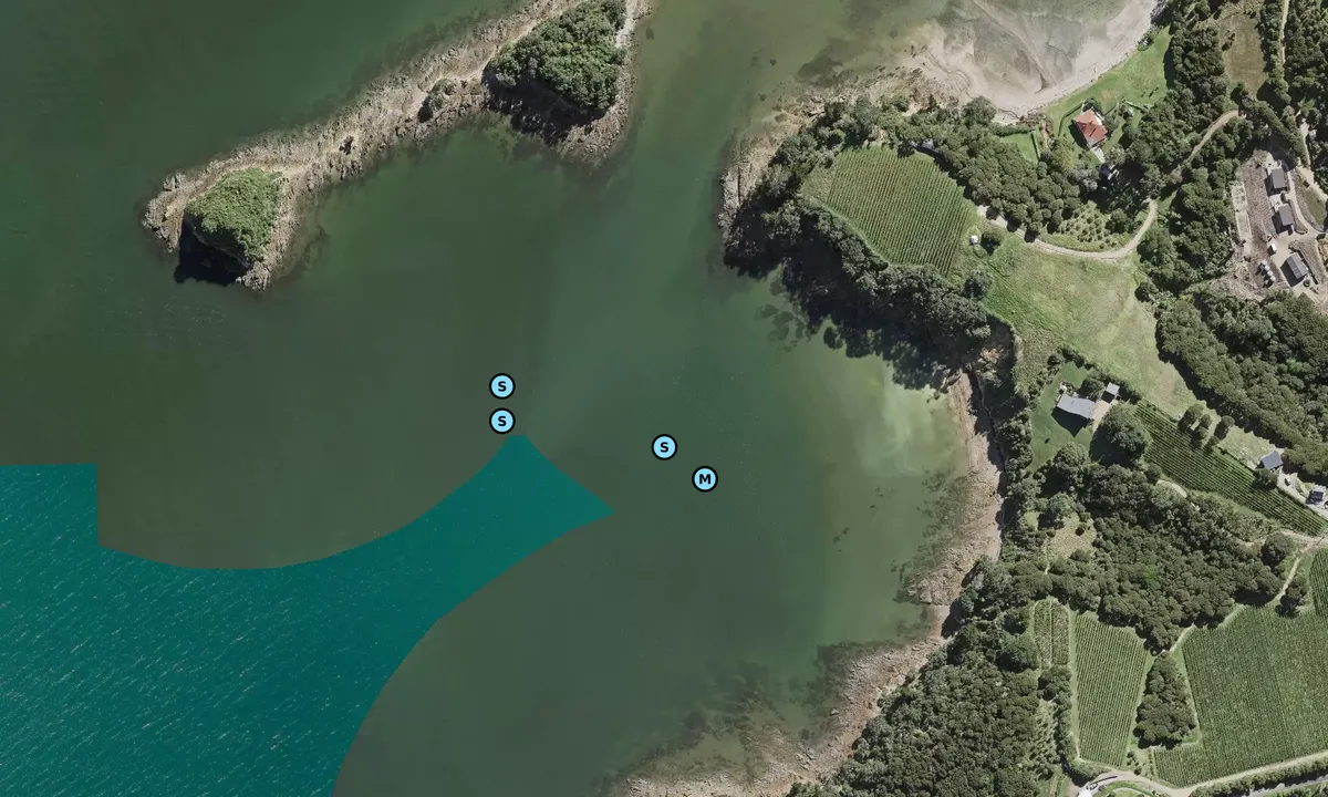 Satelite image of Te Whau Bay