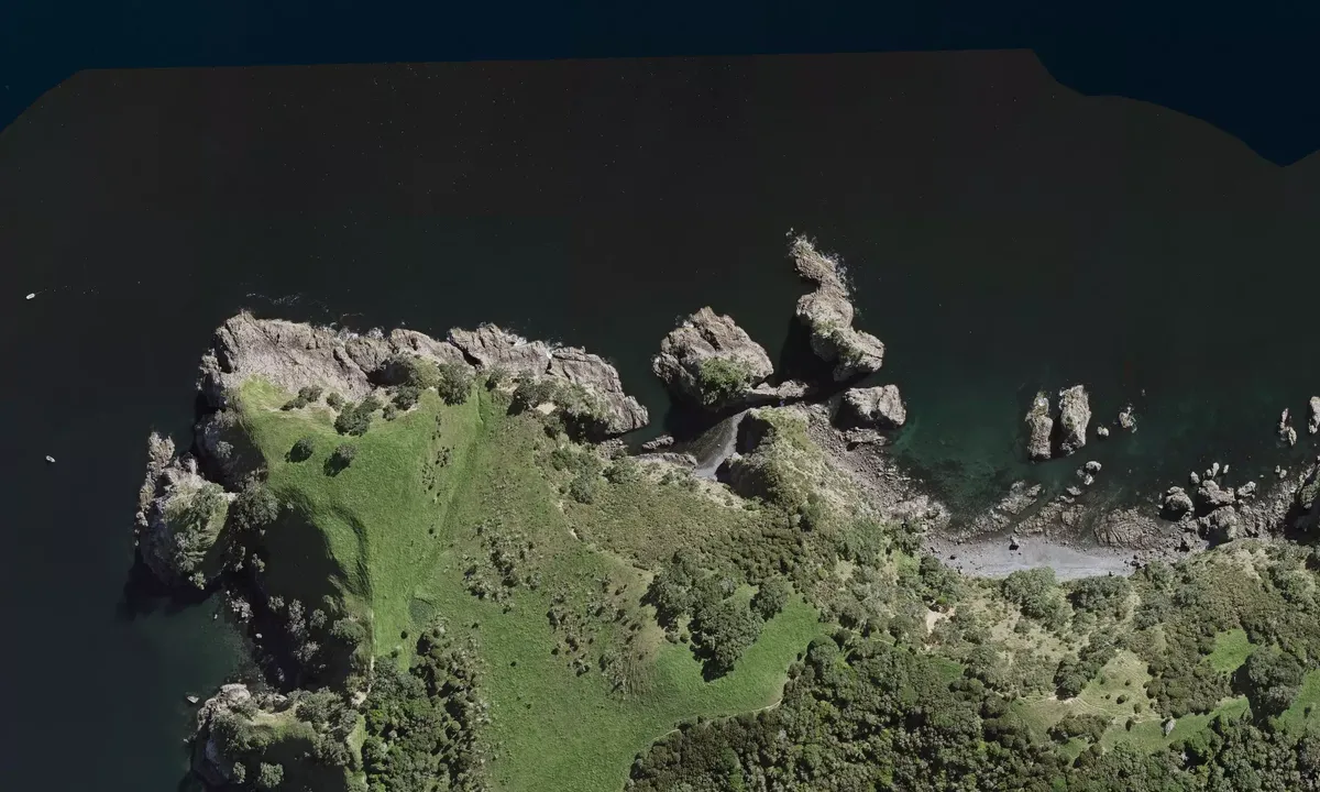 Satelite image of Te Whau Point