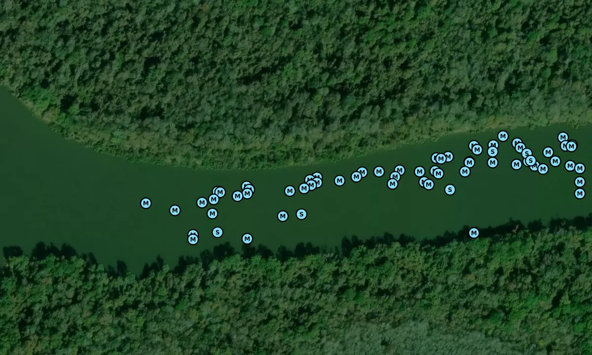 Satelite image of Tensas River