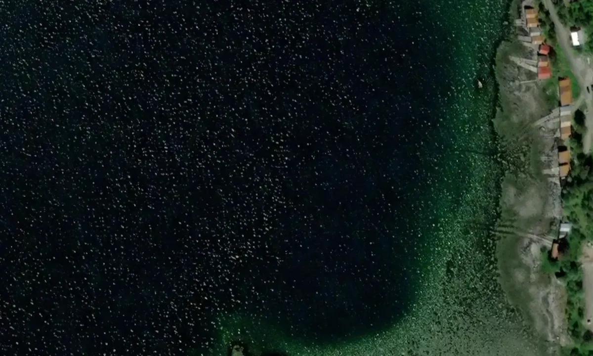 Satelite image of Terråk - Bindal