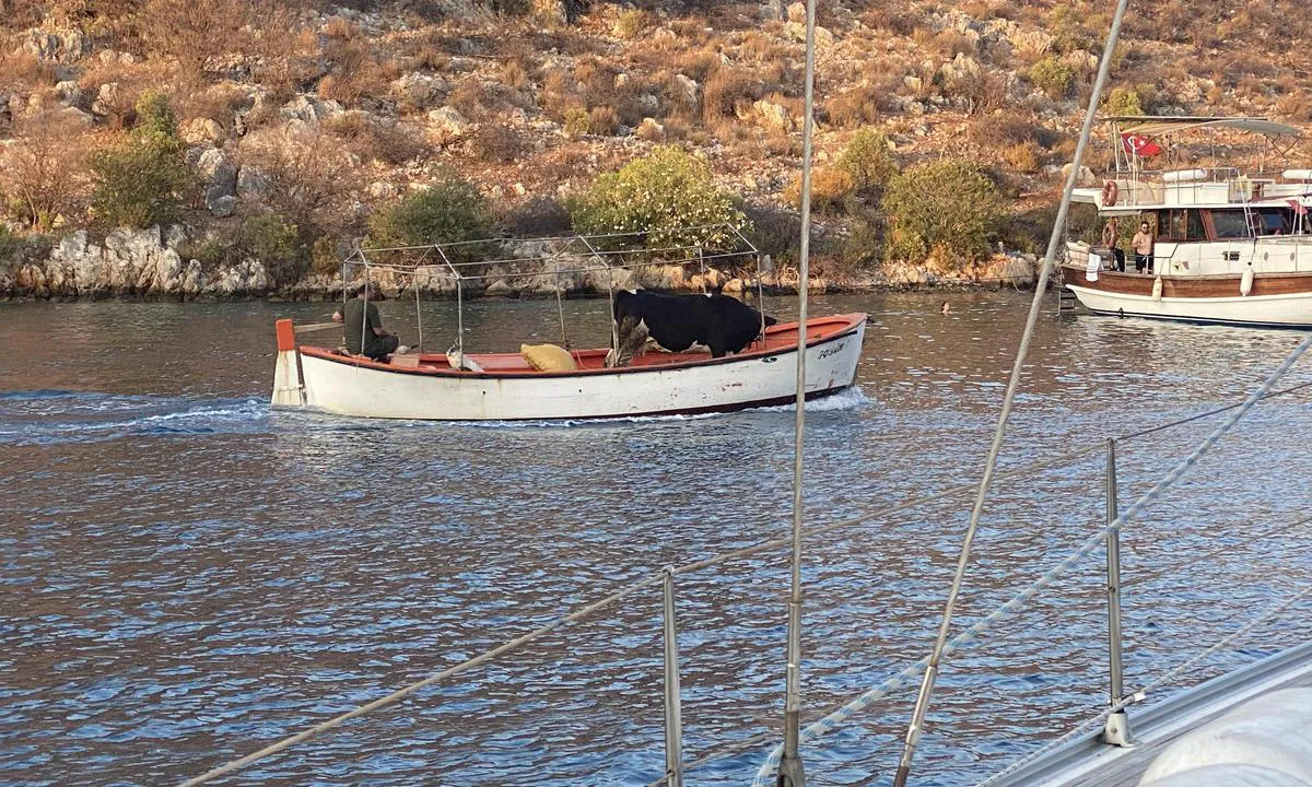 Tersane Cove