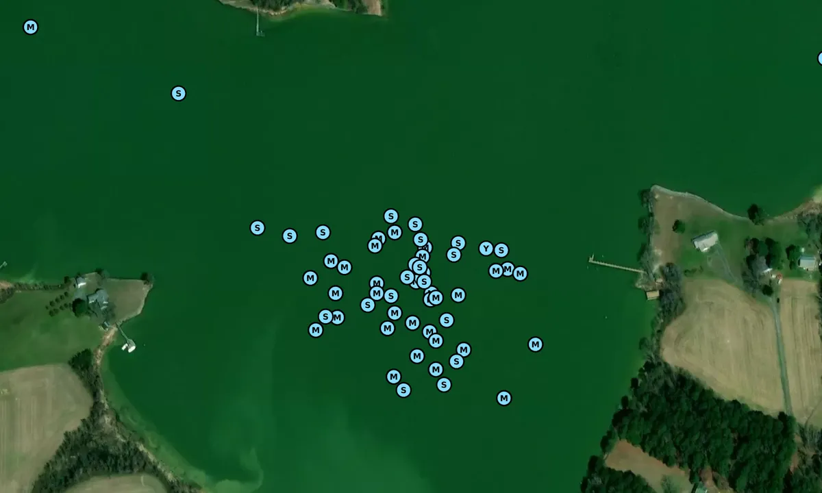Satelite image of The Glebe