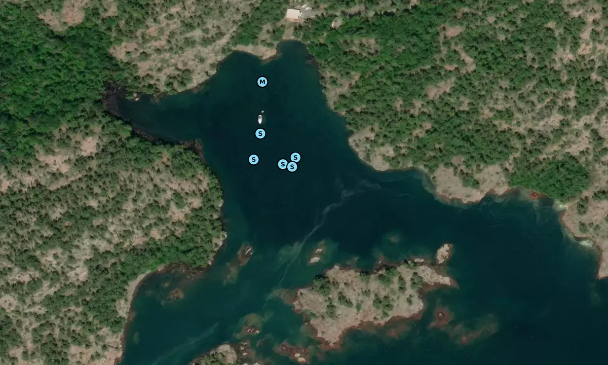 Satelite image of Thomas Bay