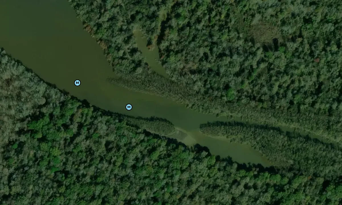 Satelite image of Three Rivers Lake
