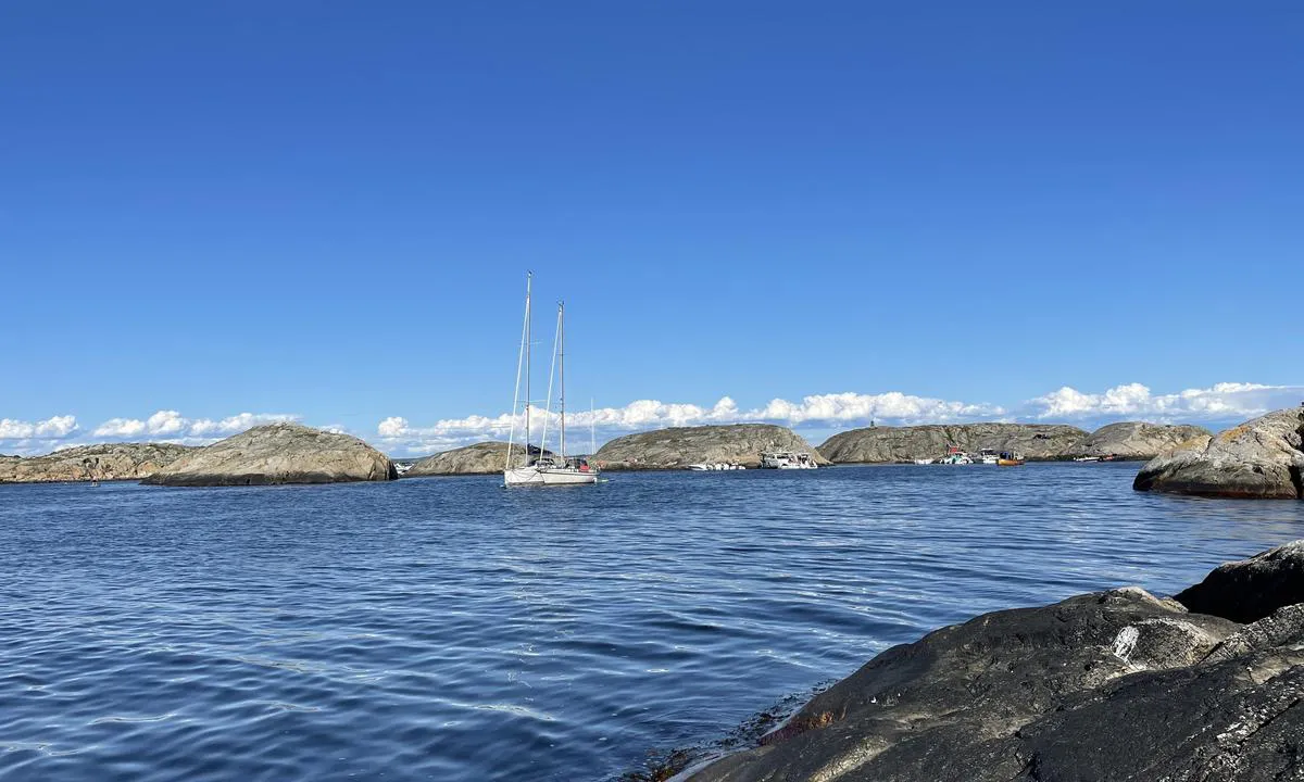 Tisler Nord: Blåbøye