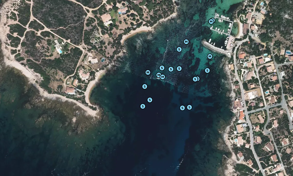 Satelite image of Tizzano