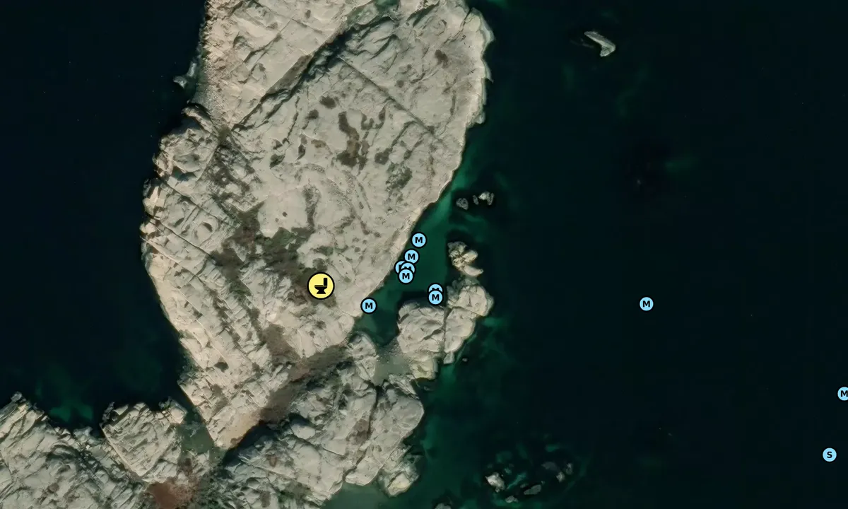 Satelite image of Tjällsö holme