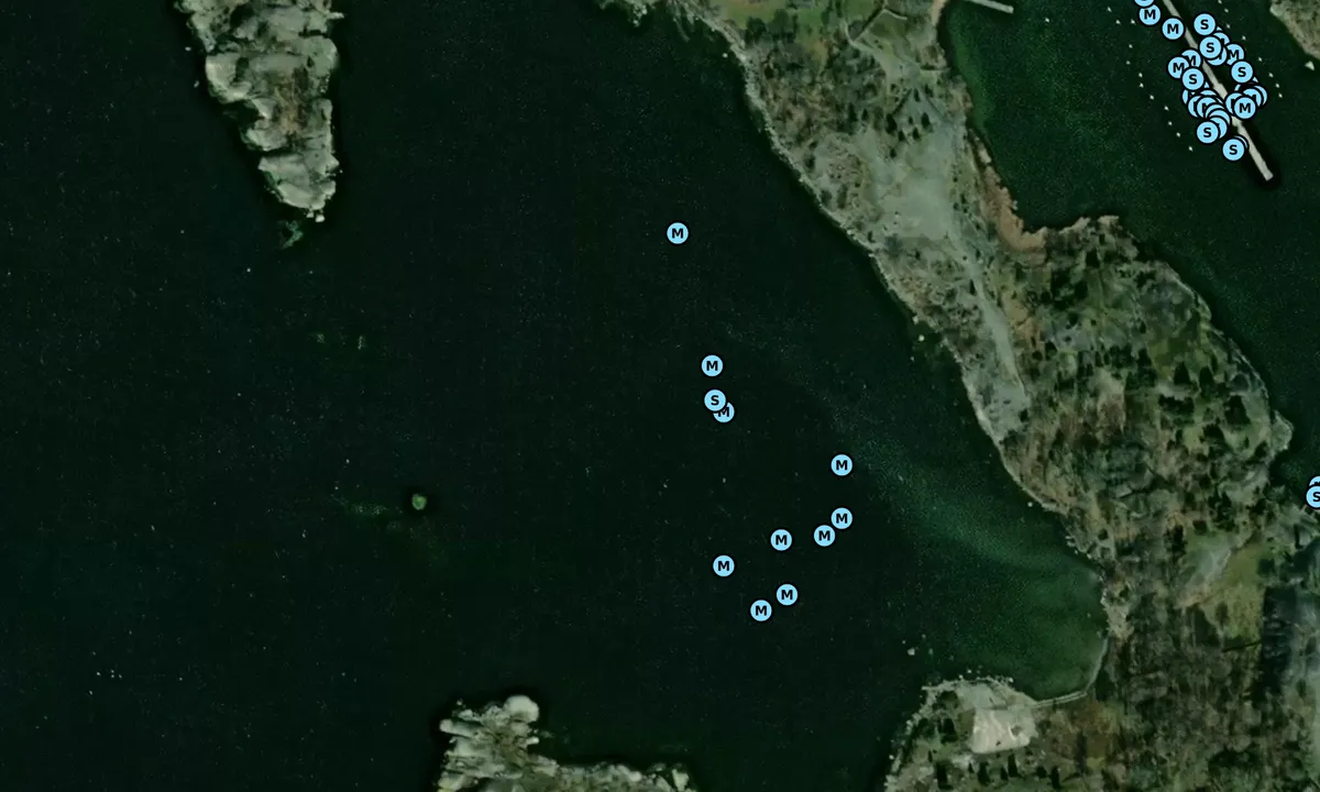 Satelite image of Tjärö