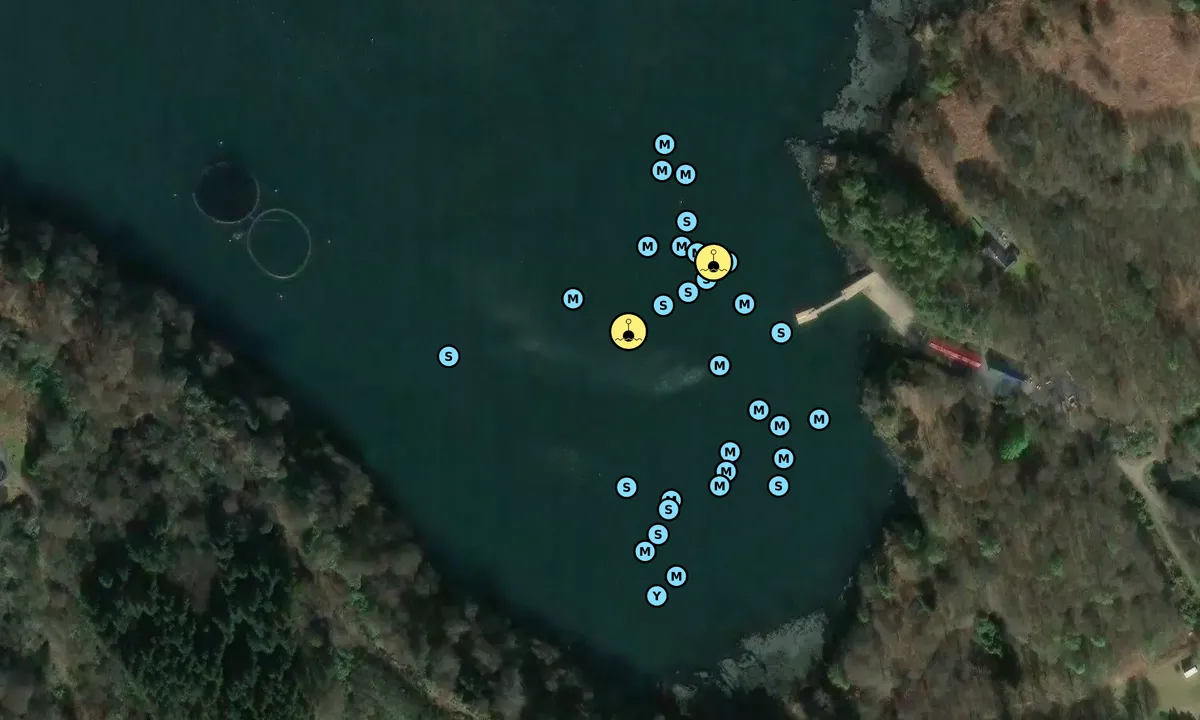 Satelite image of Tobermory Bay South