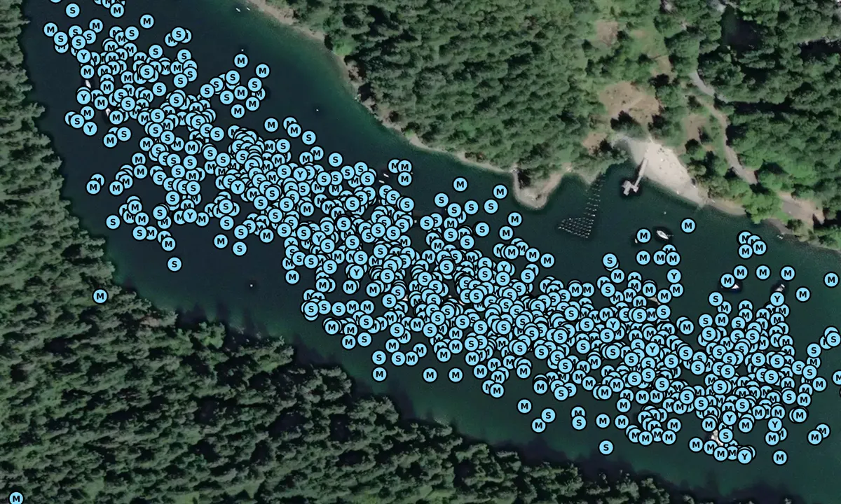 Satelite image of Todd Inlet