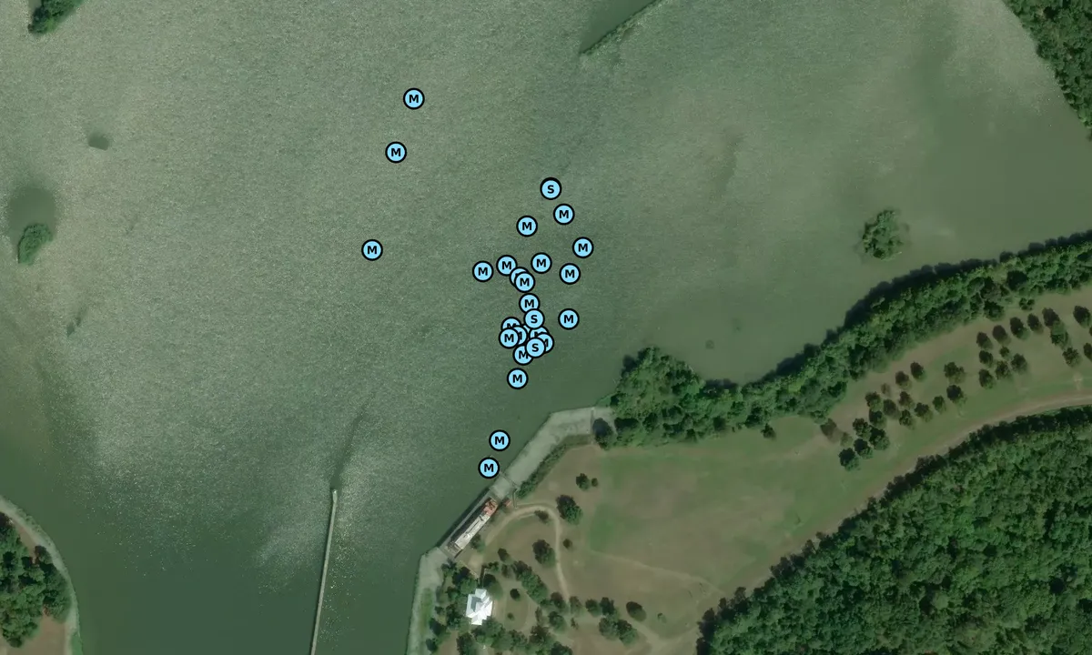 Satelite image of Tom Bevill Lock and Dam
