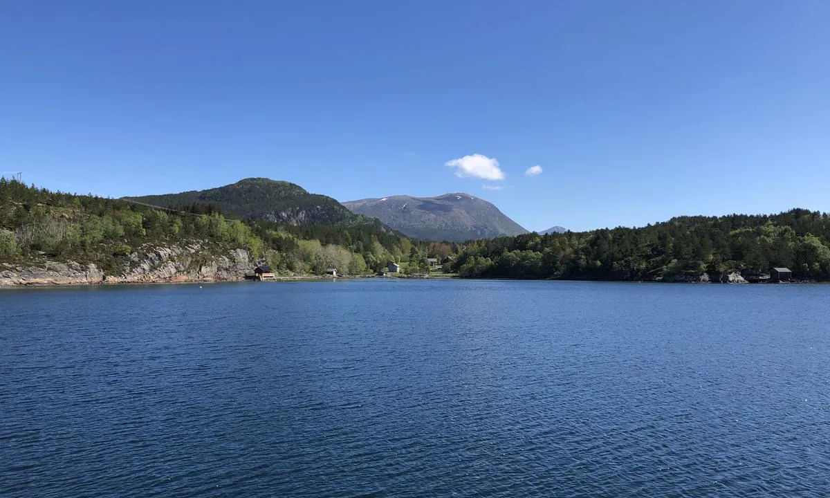 Tømmervågen er en godt beskyttet havn og ligger idyllisk til vest på øya Tustna. Her med utsikt til fjellene innafor.