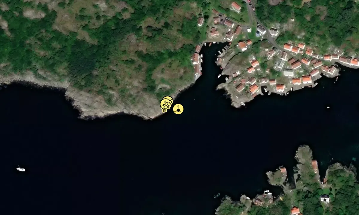 Satelite image of Torkelsodden - Farsund