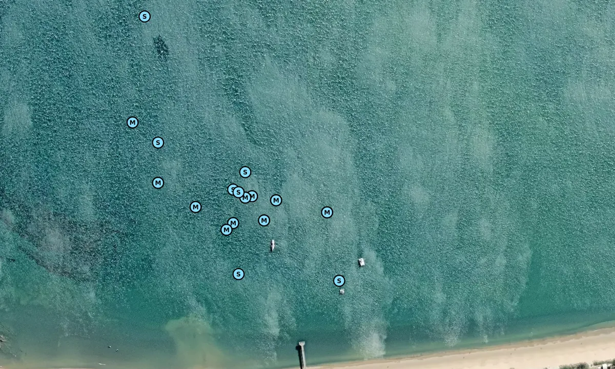 Satelite image of Torquay