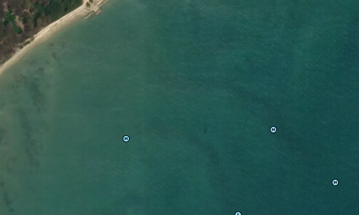 Satelite image of Torre Astura