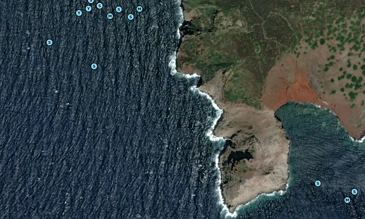 Satelite image of Torre dello Zenobito