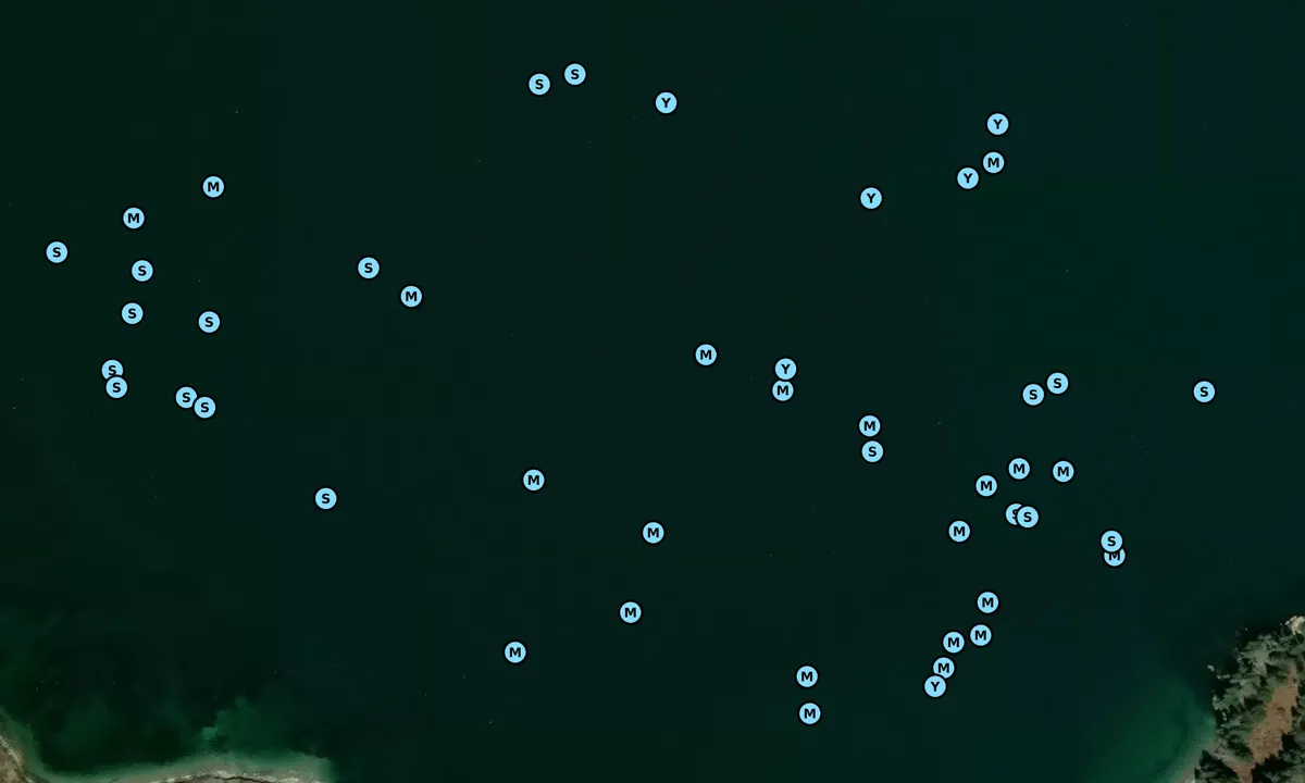 Satelite image of Torrey Islands
