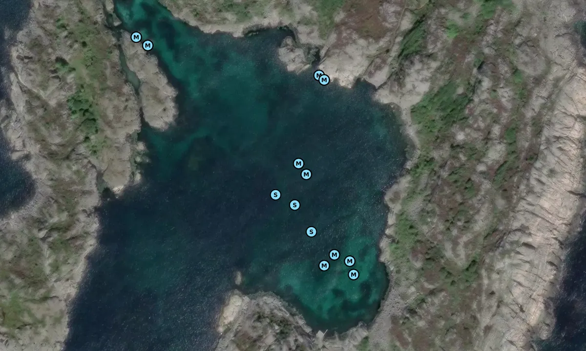 Satelite image of Torsøyvågen