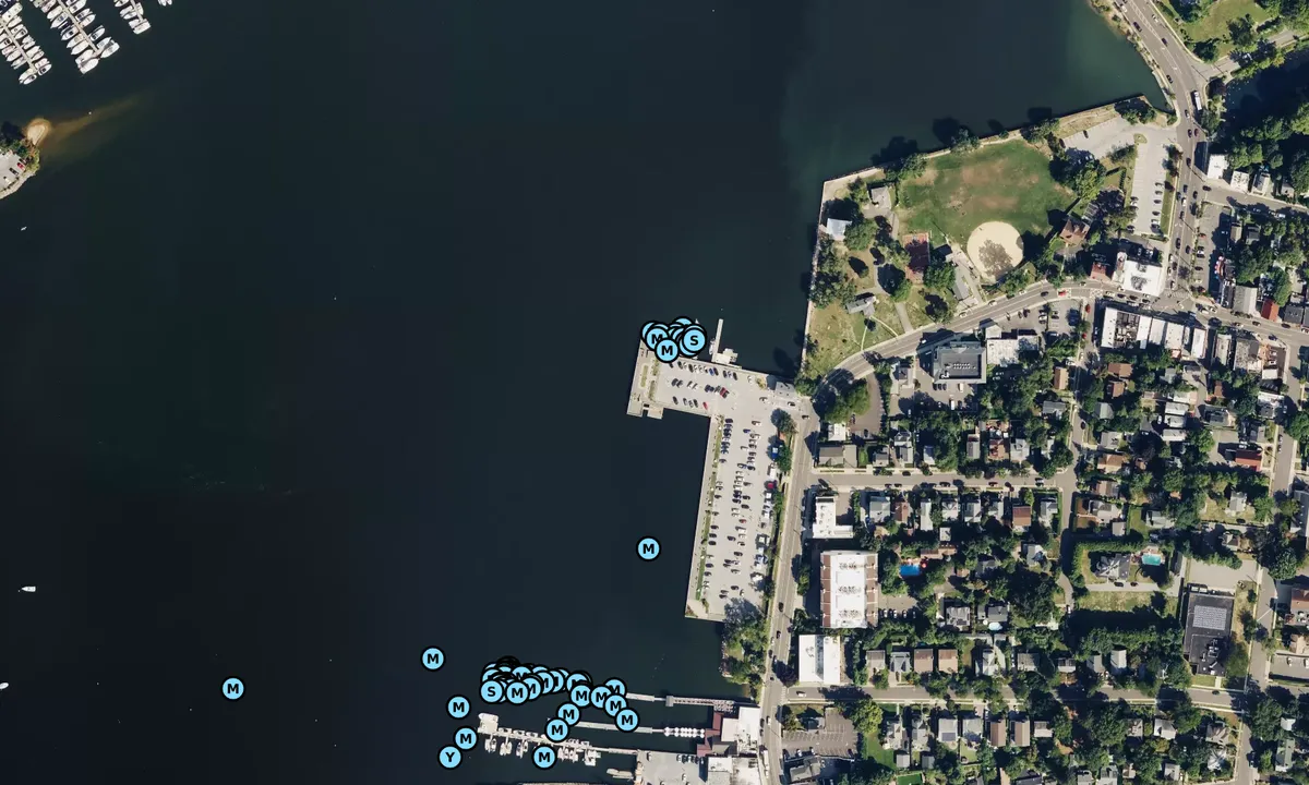 Satelite image of Town Dock - Port Washington