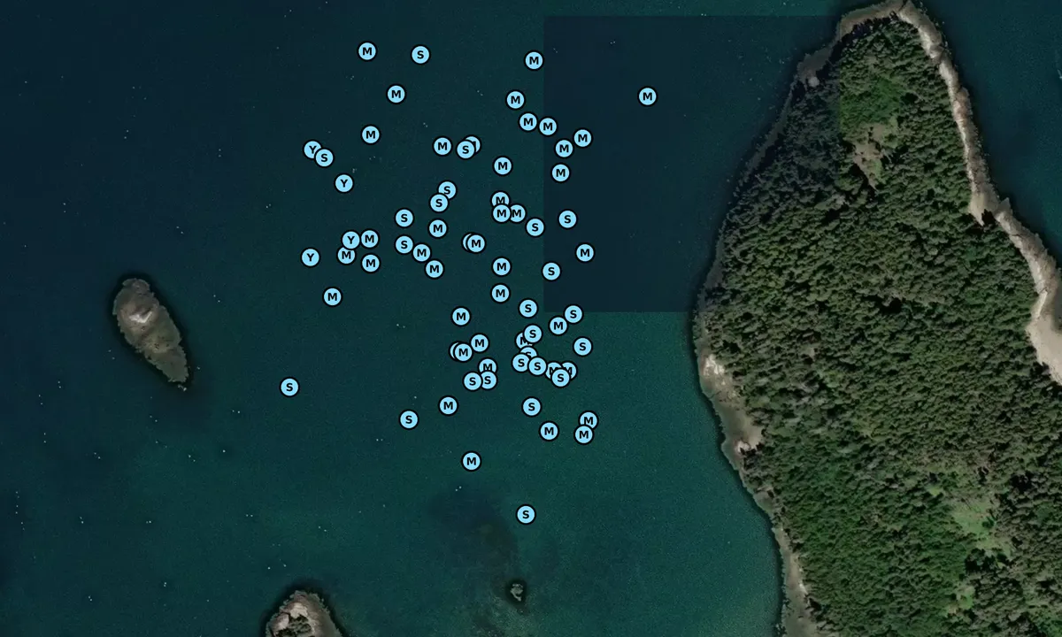 Satelite image of Trafton Island