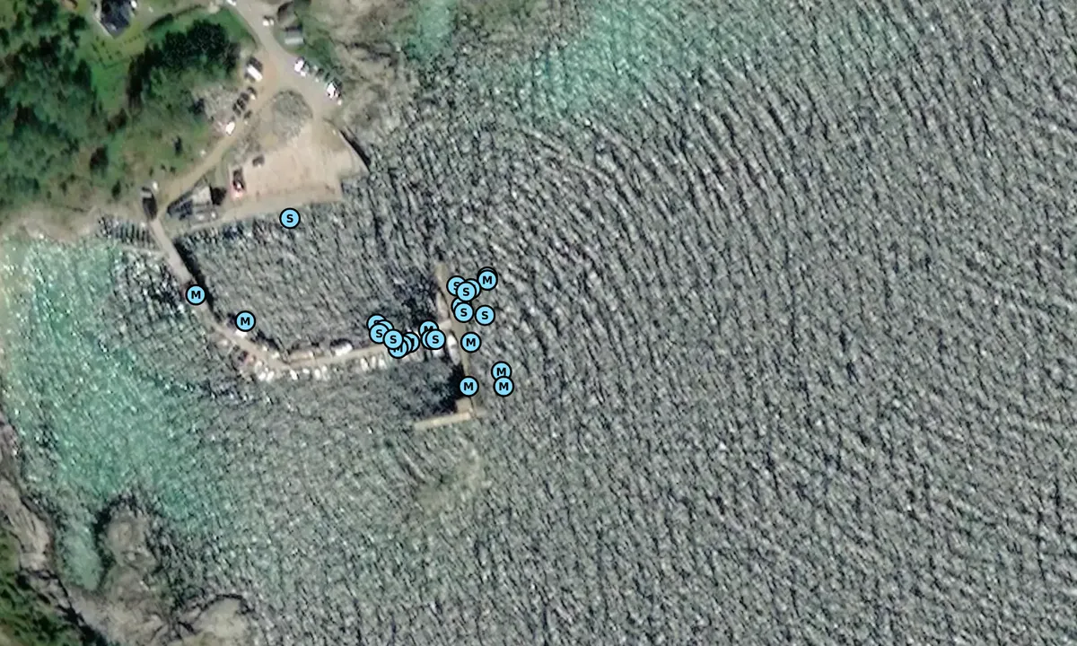 Satelite image of Tranøy Gjestehavn - Hamarøy