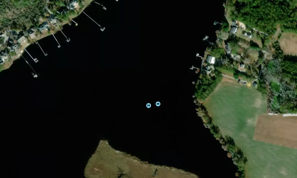 Satelite image of Trent River