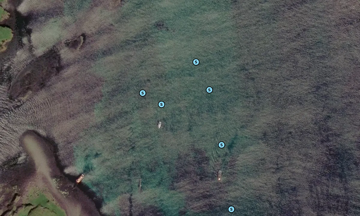 Satelite image of Treshnish Islands