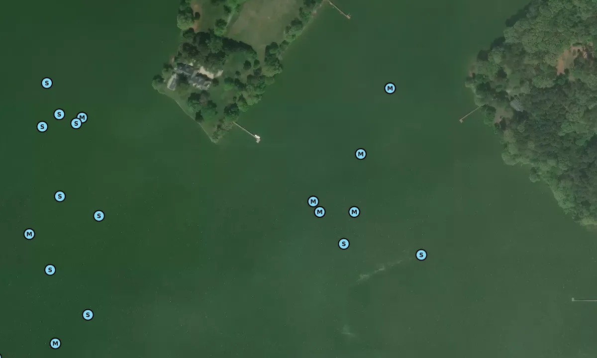 Satelite image of Trippe Creek 3