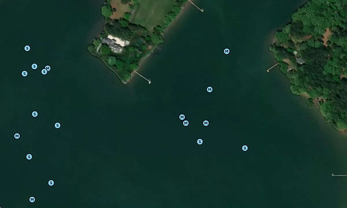 Satelite image of Trippe Creek 3
