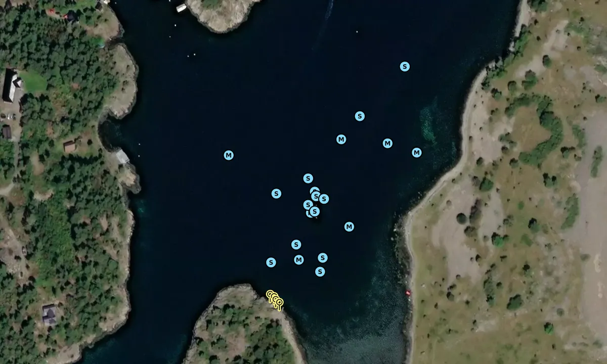 Satelite image of Tromlingene