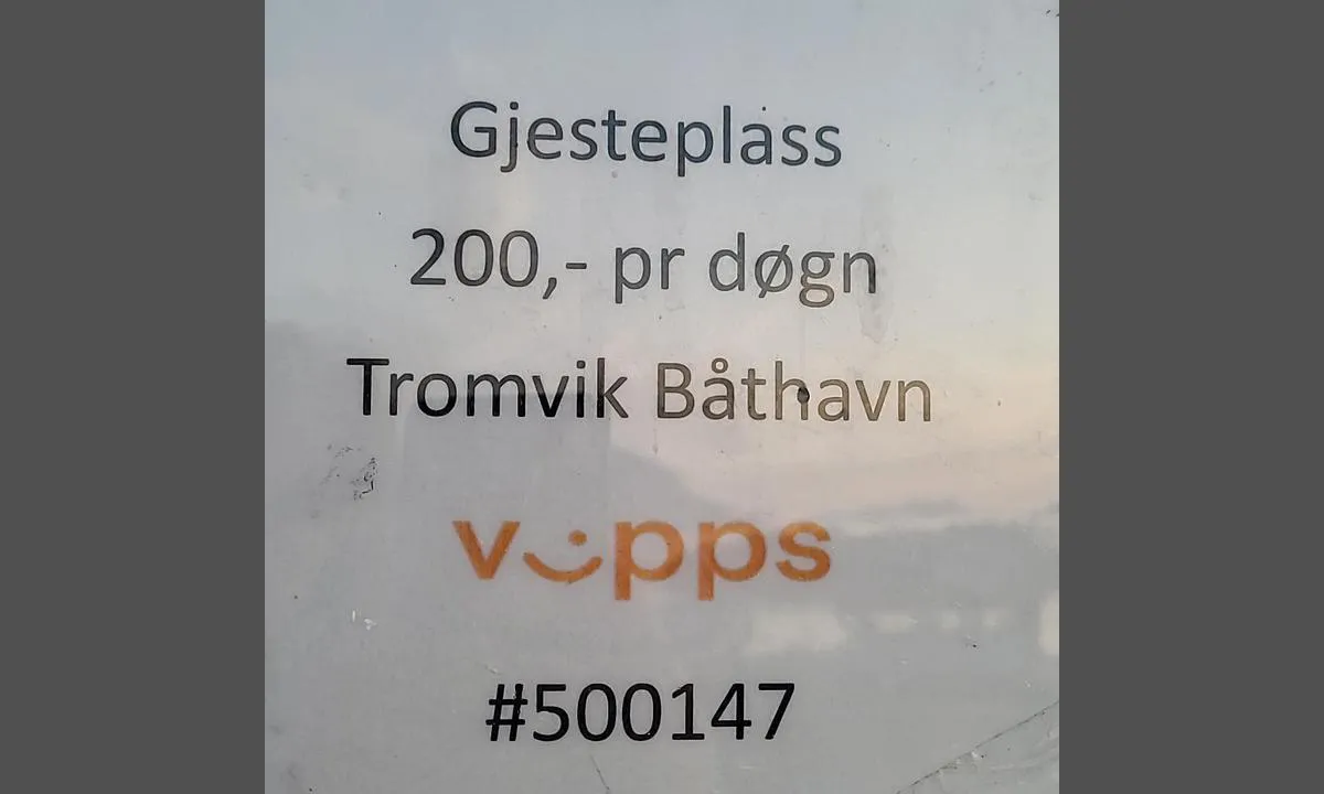 Tromvika