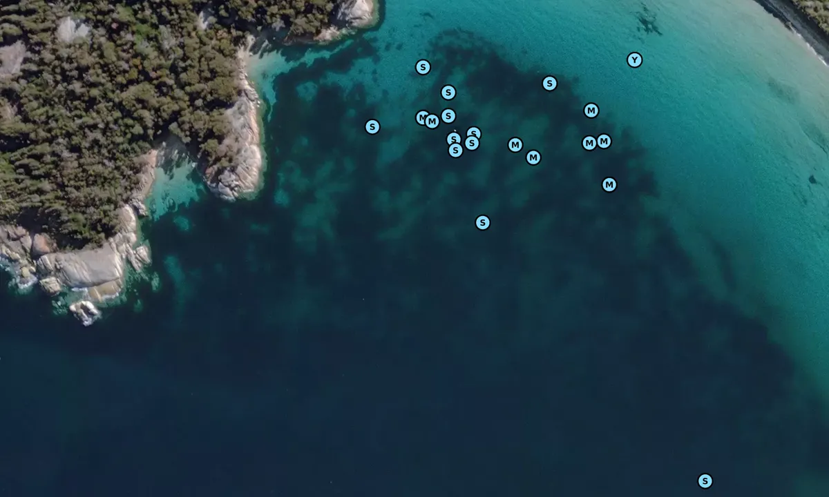 Satelite image of Trouser Point