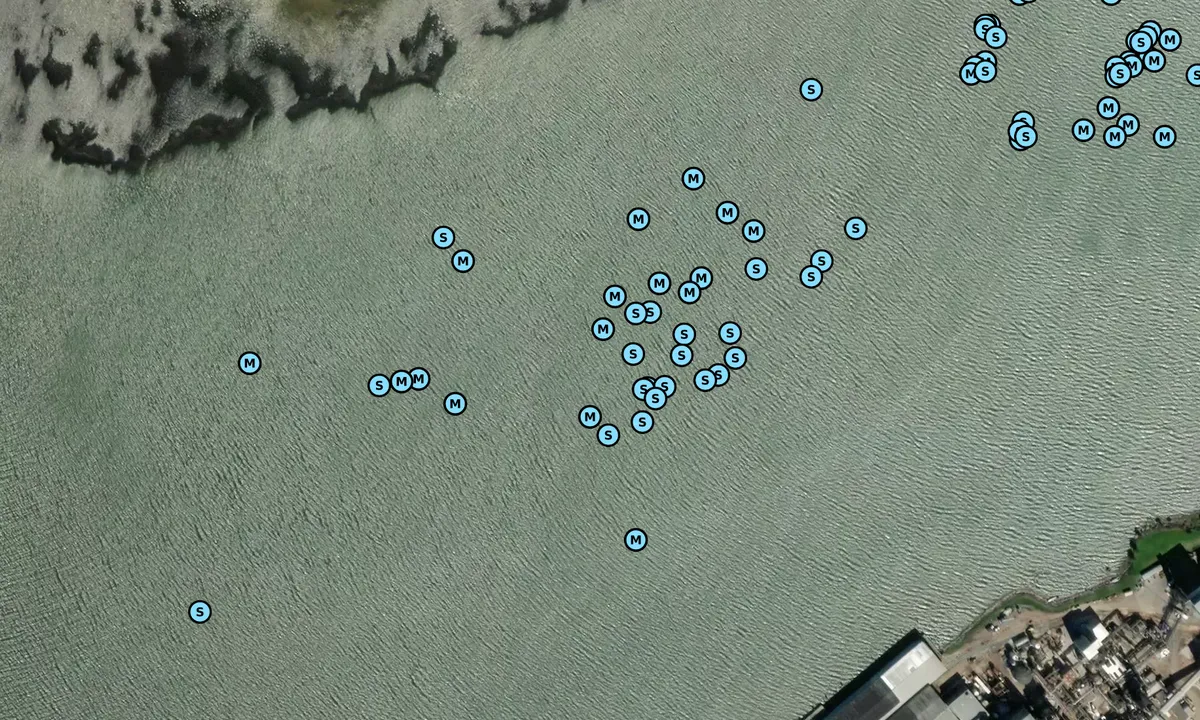 Satelite image of True Sovereign