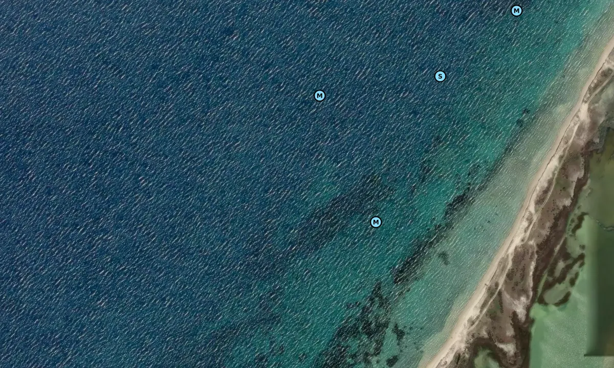 Satelite image of Tsairi Beach