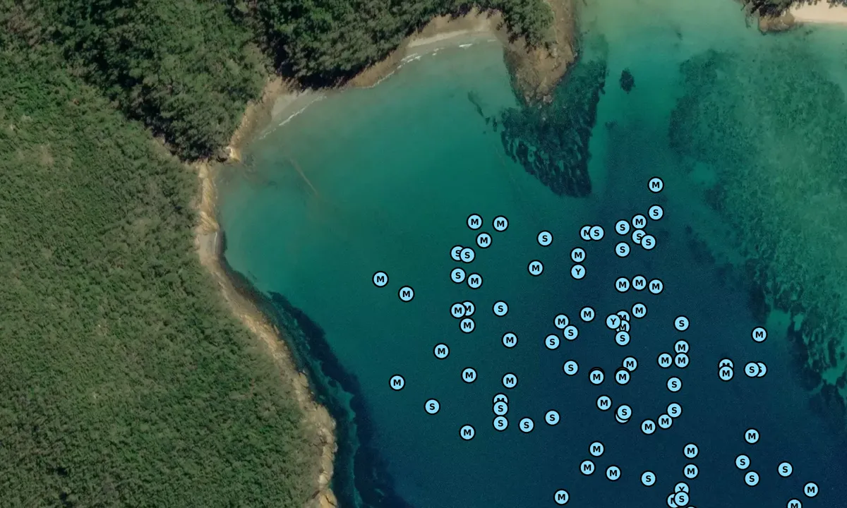 Satelite image of Turtle BAY