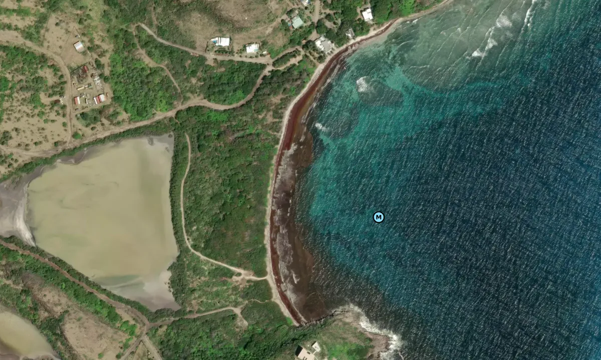 Satelite image of Turtle Beach