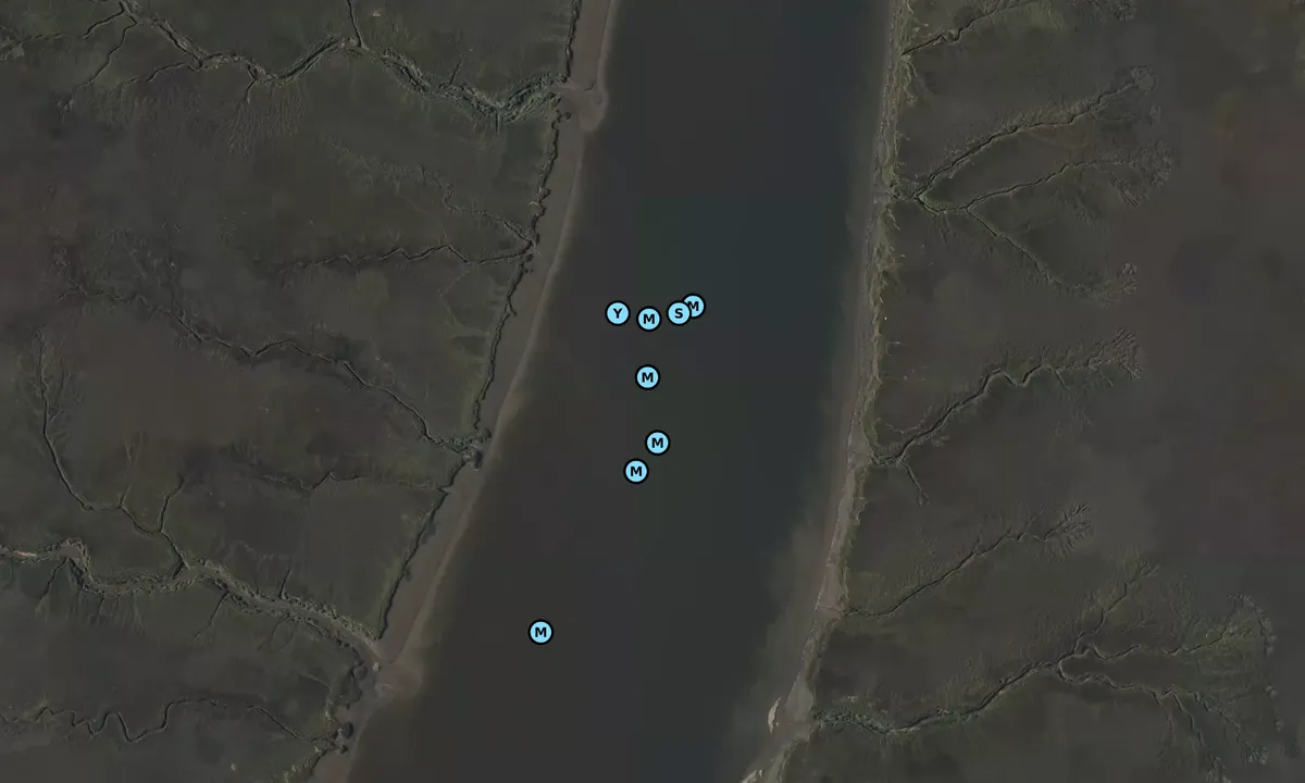Satelite image of Turtle Island