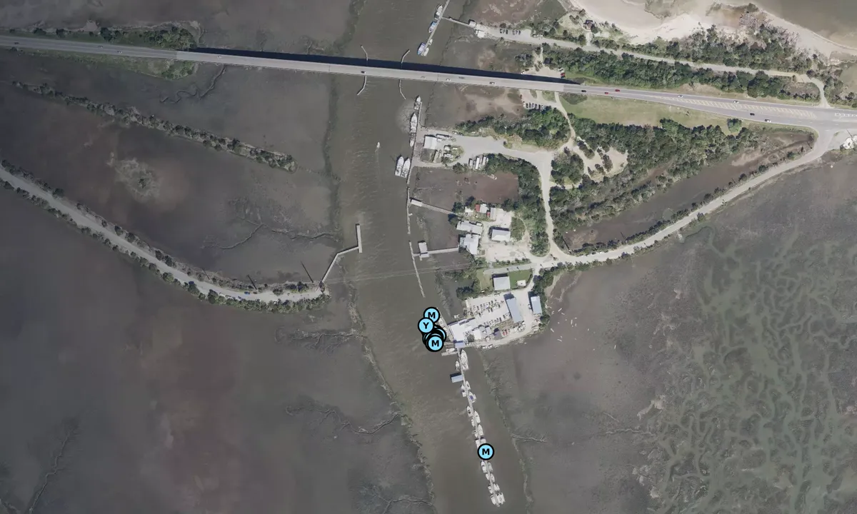 Satelite image of Tybee Island Marina