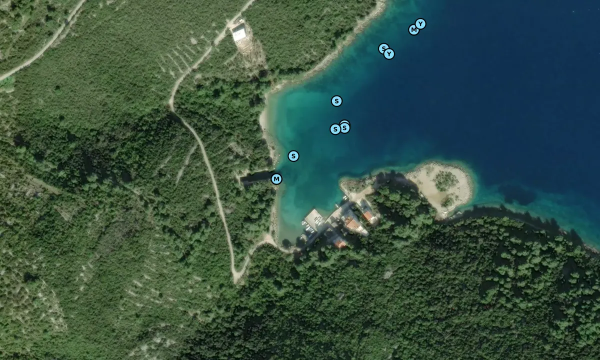 Satelite image of U-Boot Bunker