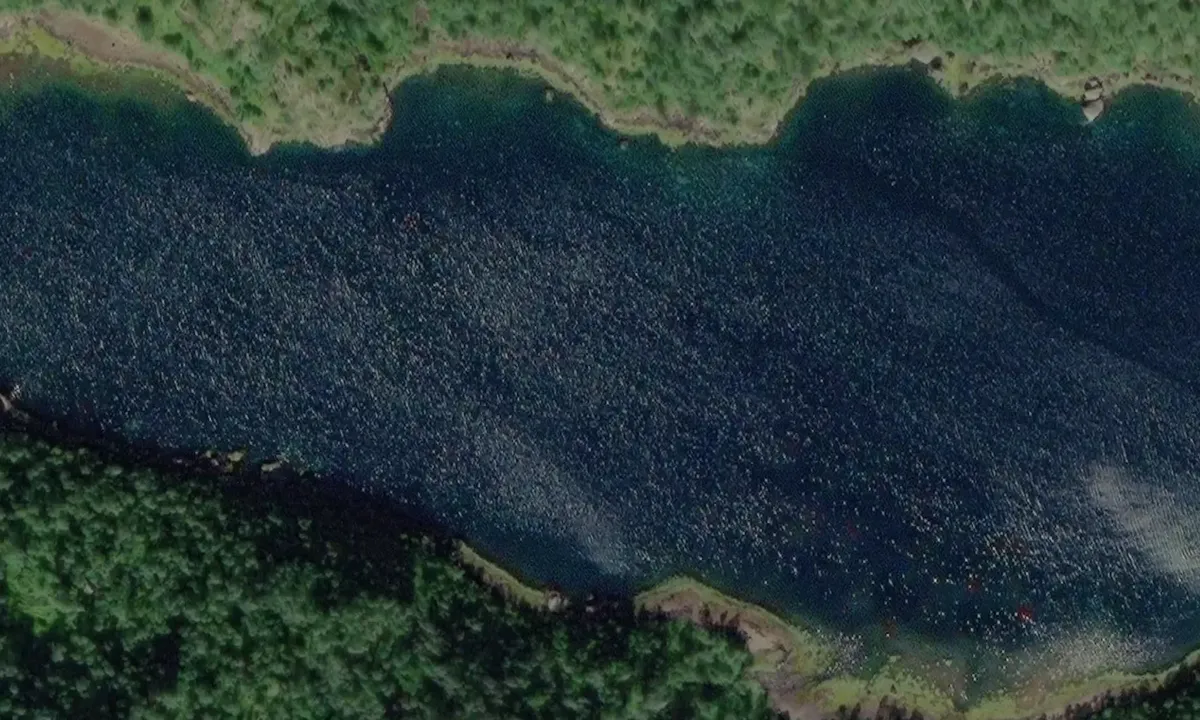 Satelite image of Ulvågsfjorden