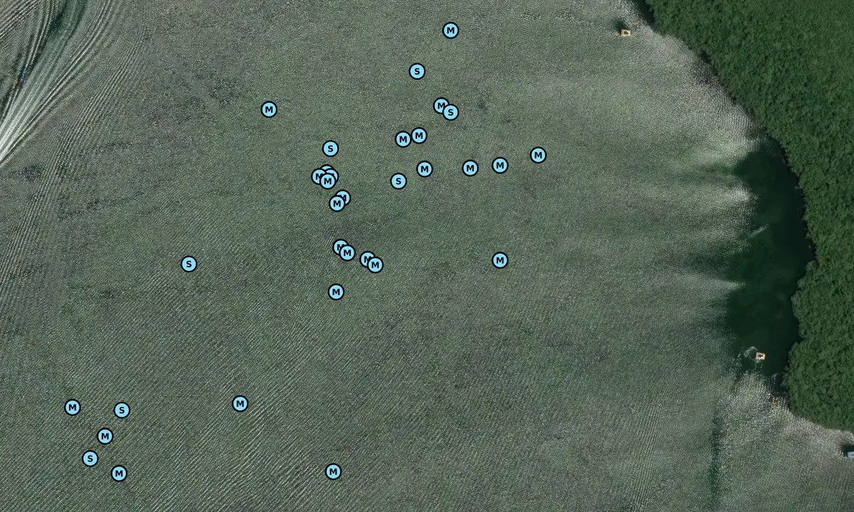 Satelite image of Upper Buttonwood Sound