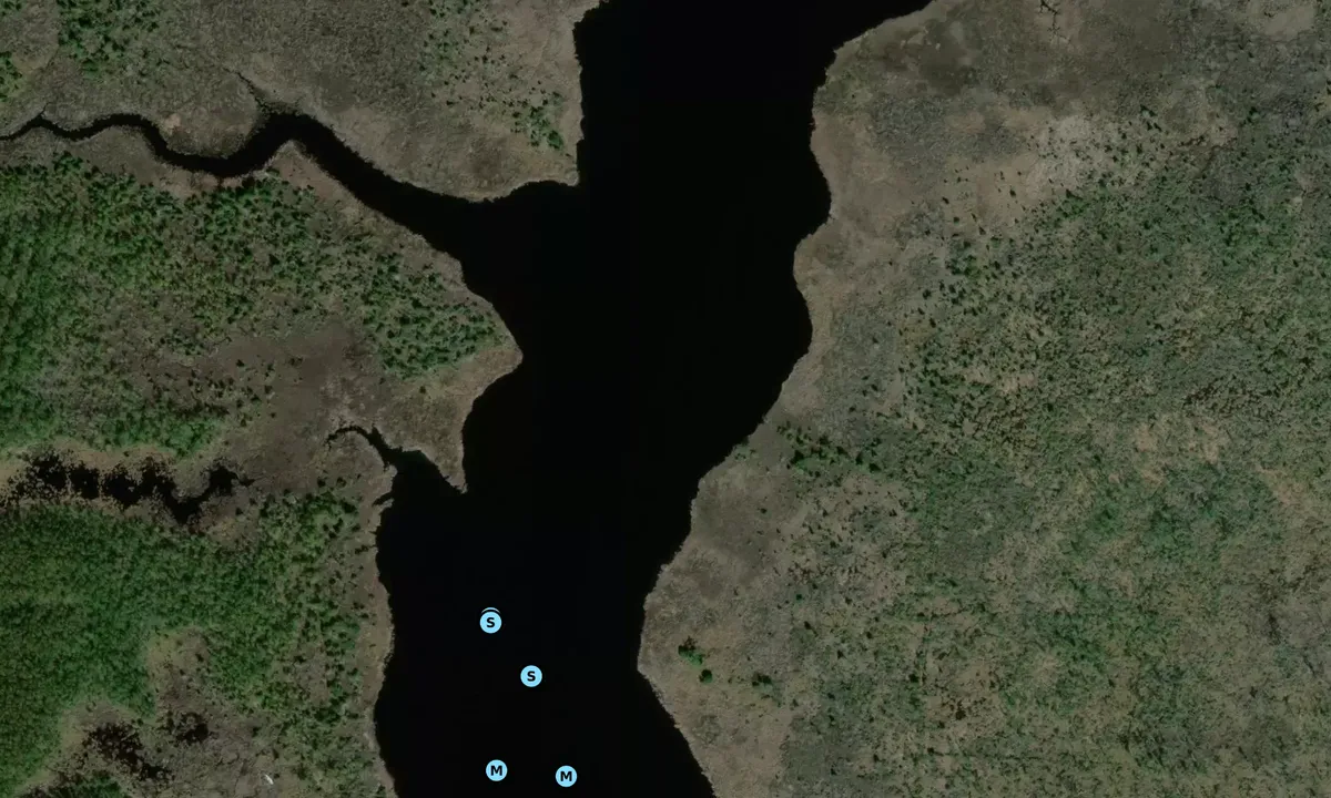 Satelite image of Upper Dowry Creek